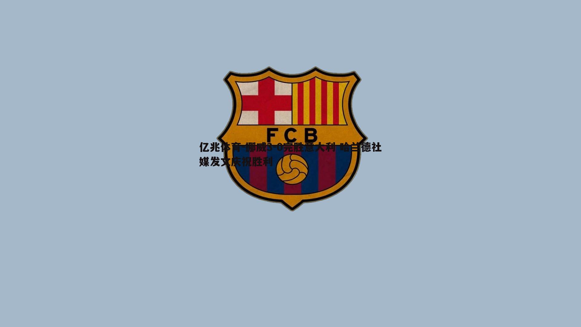 挪威3-0完胜意大利 哈兰德社媒发文庆祝胜利
